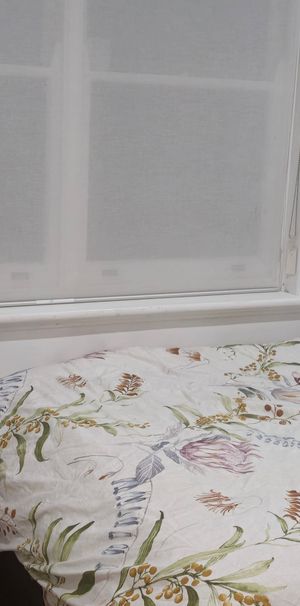 Plympton Park - Photo 1