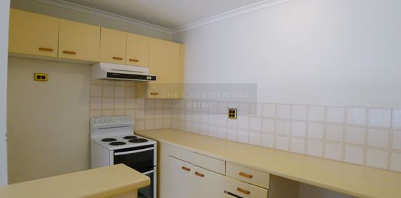 New Paint, New Carpet, Bright & Sunny 2 Bedroom Apartment - Windsor Plaza - Photo 2