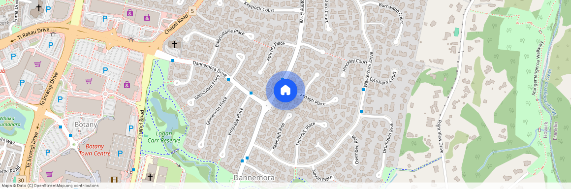 1 Ardagh Place, Dannemora, Manukau City