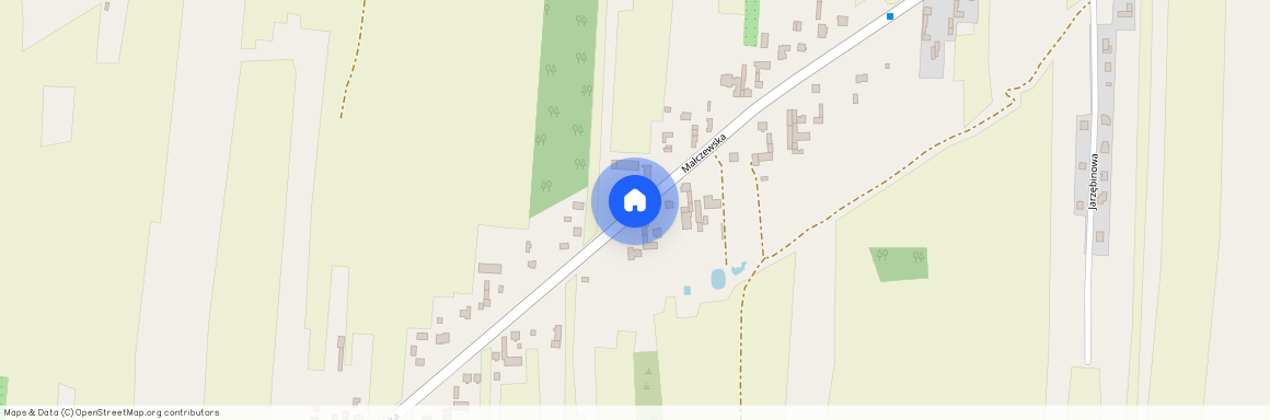 Małczewska, Brzeziński (pow.), Brzeziny