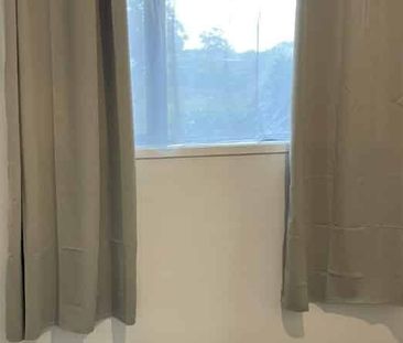 Versatile Sleepout – 2 Bedrooms + Kitchenette & Bathroom - Photo 4