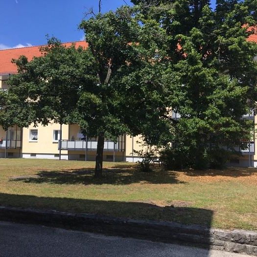 Sebald-Heyden-Str. 17, 90469 Nürnberg OT Gartenstadt - Foto 2