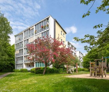 Singleglück! - Foto 1