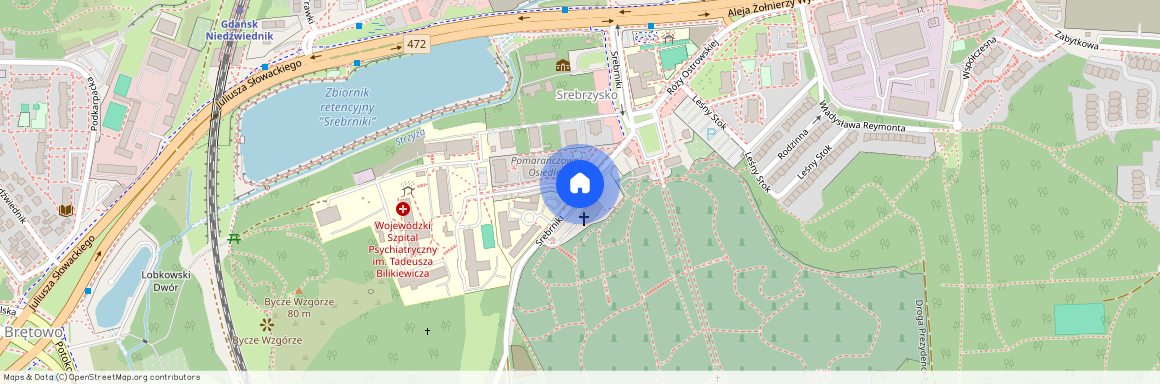 ul. Srebrniki, Wrzeszcz Górny, Gdańsk, pomorskie, Pruszcz Gdański