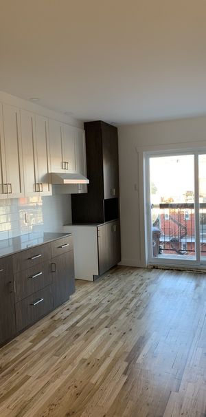 Appartement 3 1/2 Quartier Rosemont - Photo 1