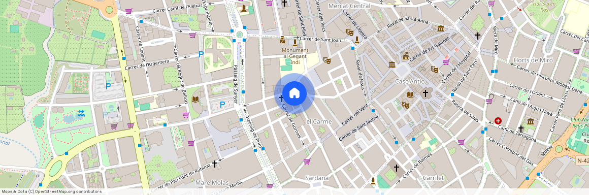 Carrer de Sant Lluis, 66, 43202 Reus, Spain
