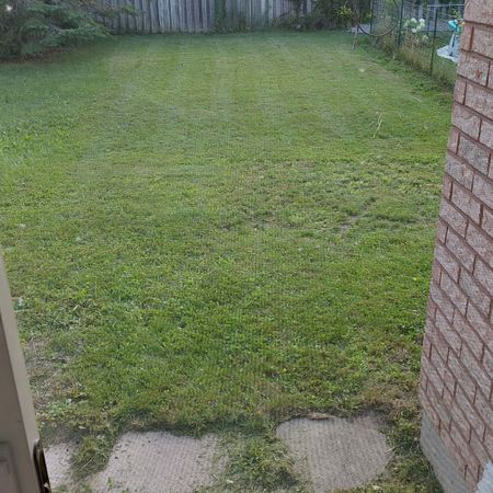 For Lease - 141 Black Cherry Crescent, Barrie, Ontario - Photo 4