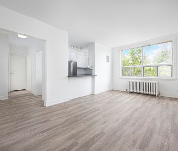 Albert Apartments - Photo 4