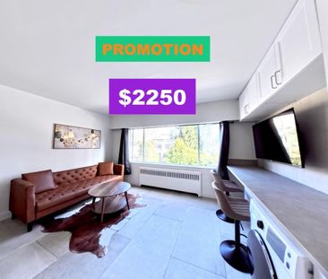 1540 Haro Street apartment — Vancouver, BC (0-Bedroom) - 0 Bedroom - Photo 5