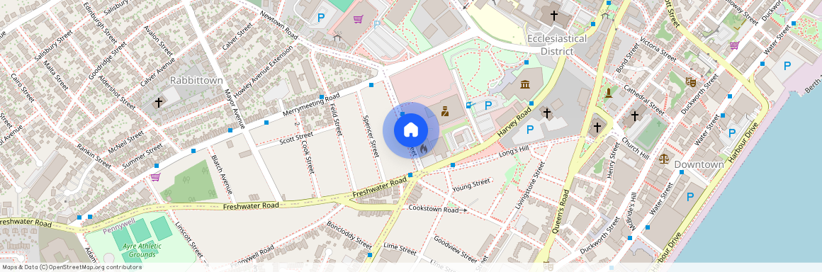 40 Mount Pleasant Avenue, St. John's A1C 6E4