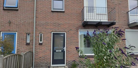 Amalia van Solmsstraat 3 - Foto 2