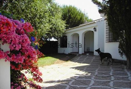 Alquiler de chalet pareado en Calle de los Veleros, 6 - Photo 5