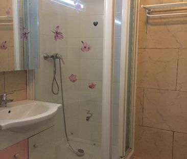 Location Appartement 1 pièce 19m² - Photo 2