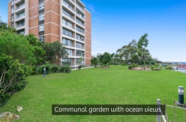 55/67 St Marks Road, Randwick NSW 2031 - Apartment For Rent | Domain - Photo 1