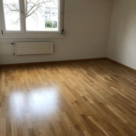 "Kleine gemütliche Wohnung" - Foto 3