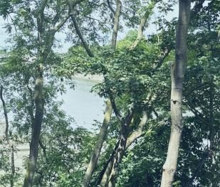 Single Room with in a beautiful flat with a River View - Photo 5