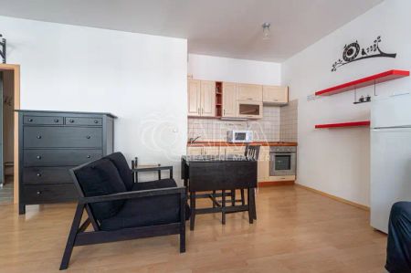 K pronájmu byt 1+kk s balkonem v projektu U Motolské hrušky, Praha 5 Motol - Fotografie 4