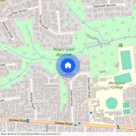 3a Satchell Place, Birkenhead, Auckland