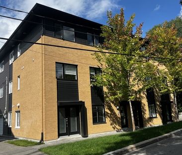 CONDO 4 1-2 NIVEAU TERRASSE + CABANON - Photo 1