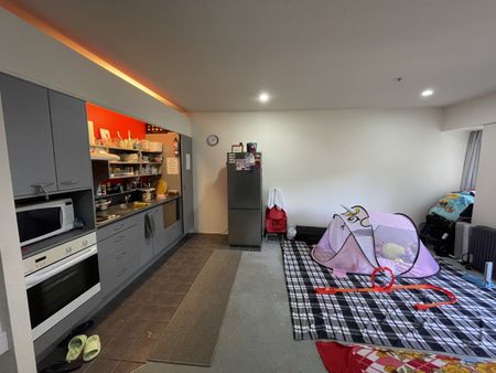 Central Wellington Apartment - Photo 4