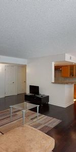 X-Large balcony, Appliances, Concordia University Oasis de ville - Condo / apartment for rent Montreal Ville-Marie - Photo 3