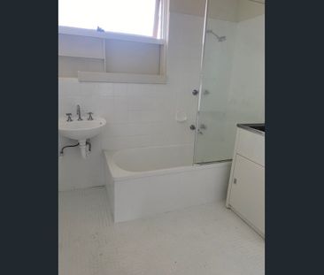 Spacious Apartment! - Photo 3