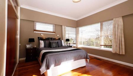 Sunny Family pet friendly home with an Avo tree - Photo 3