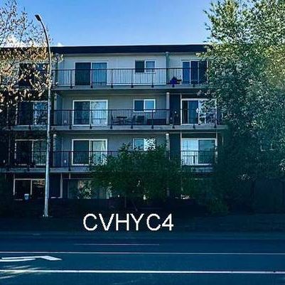 1 Bed, 1 Bath in Hycroft Apartments -1st Month Free (CVHYC4) - Photo 4