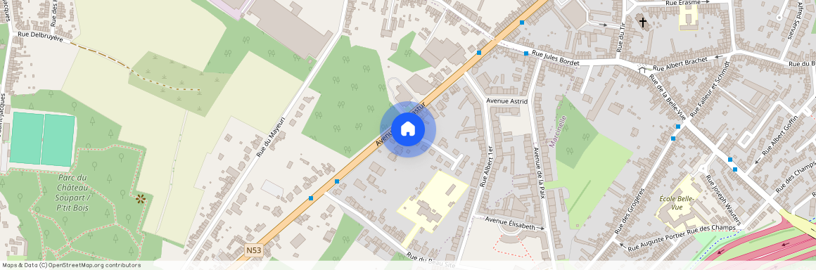 Rue Jacques Bufquin des Essarts 2, 6032, Mont-Sur-Marchienne
