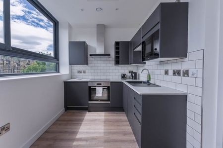 Campo Lane - Photo 4