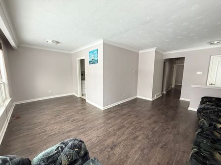 For Lease - 157 Sussex Avenue, Richmond Hill, Ontario - Photo 4