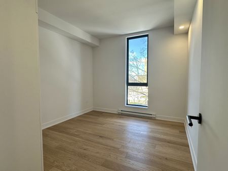 3201 Boulevard Édouard-Montpetit, #302 - Photo 2