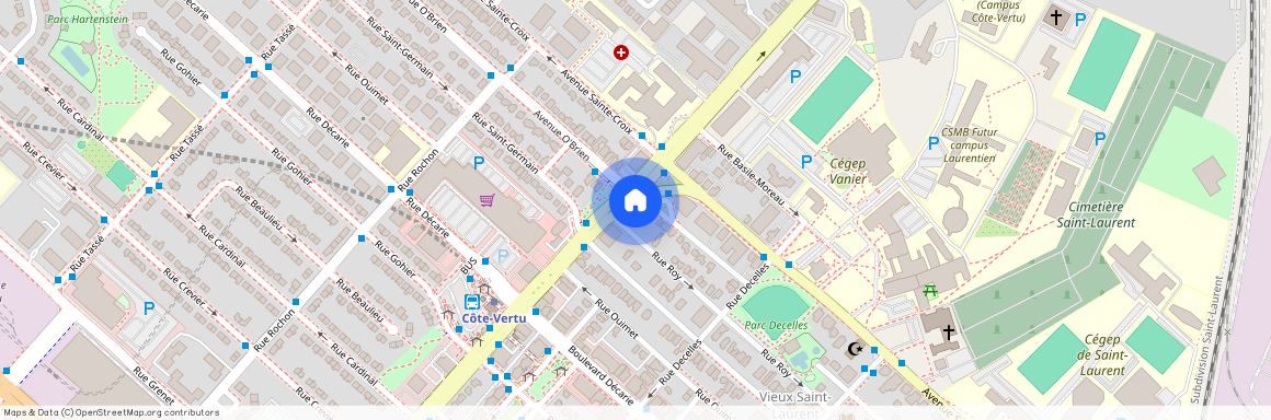 990 Rue Saint-François-Xavier, Montreal