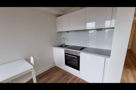 Studio Flat, Gradwell Street, L1 - Photo 3