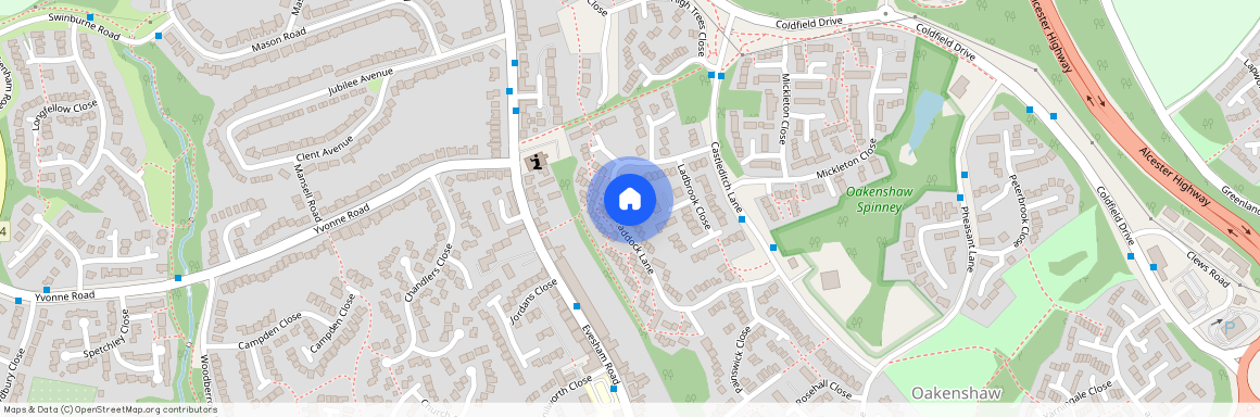 Paddock Lane, Redditch B98