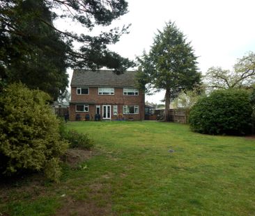 Hitherwood, Cranleigh, GU6 - Photo 2