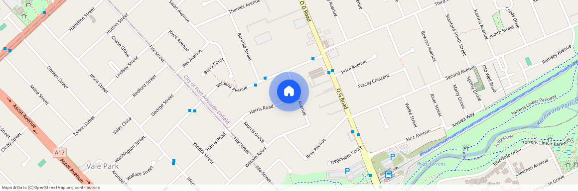 7 Deepdene Avenue, SA 5087, Klemzig