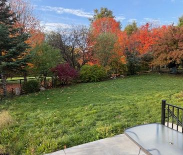 For Lease - 12 Cobblestone Court Unit# (Basement), Brampton, Ontario - Photo 5