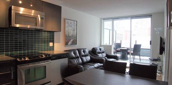 Pet Allowed -Available November 1st -Furnished 1 Bedroom@ 1325 Rolston - Photo 2