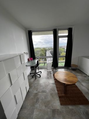 Location Appartement 1 pièce 31m² - Photo 1