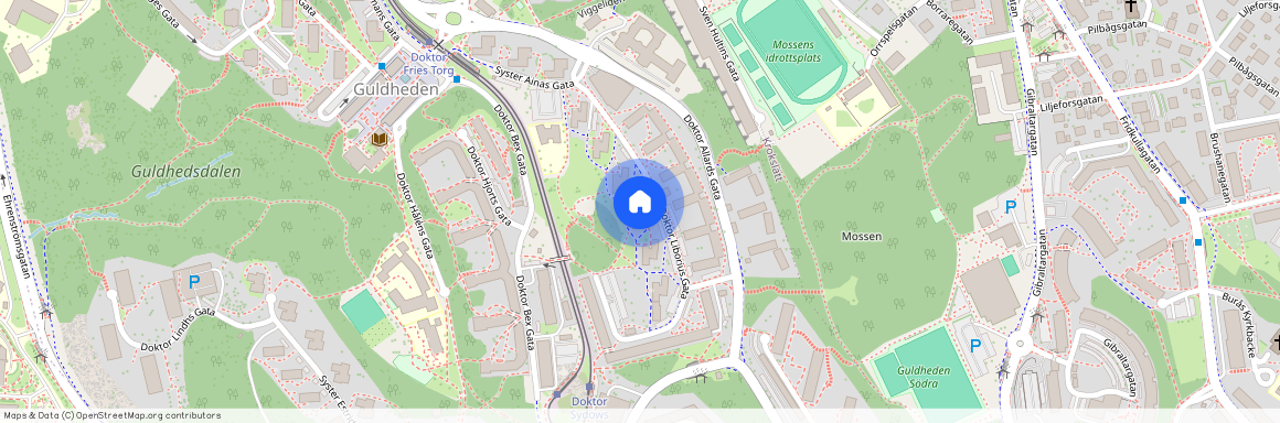 Guldheden, Göteborg, Västra Götaland, Doktor Liborius Gata 9