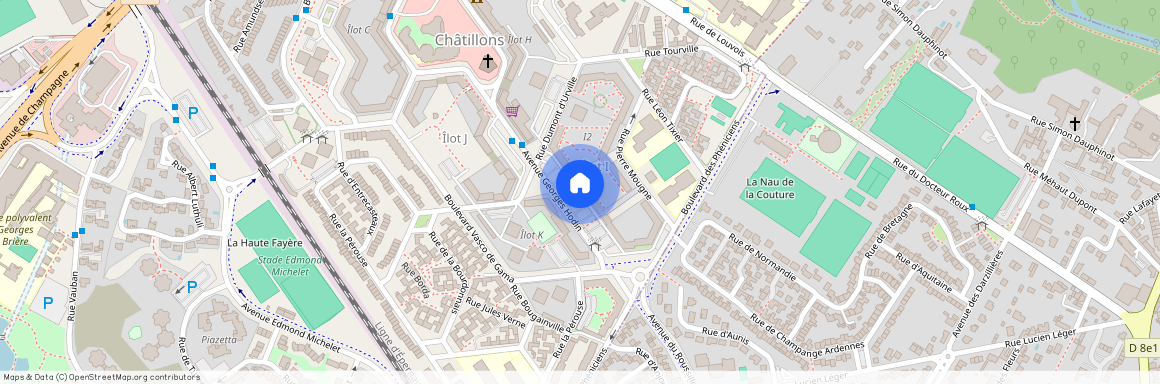 023 AV. GEORGES HODIN, 51100, Reims