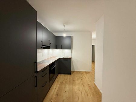 Completely renovated 2.5-room rental apartments - Photo 3