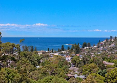 Newport, 14 (upper) Belinda Place - Photo 5