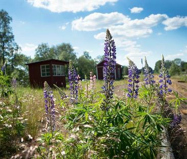 Källvägen 4 F, Vena - Foto 3