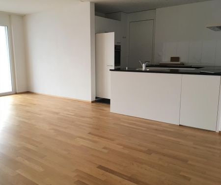 3.5 Zimmer, eigene WM/TU, separater Abstellraum, verglaster Balkon - Photo 2
