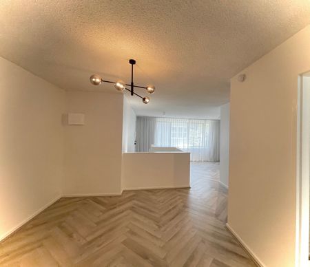 Fully Renovated Dual-Level Apartment with Sun-Drenched Terrace - Photo 3