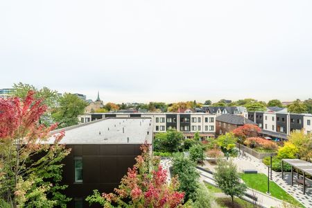 For Lease - 80 Vanauley Street Unit# 420, Toronto, Ontario - Photo 3