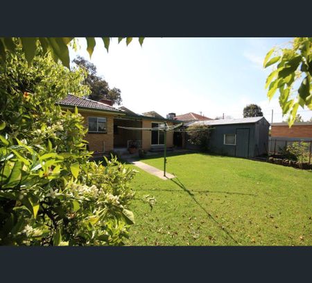 1064 Caratel Street, North Albury, NSW 2640 - Photo 3