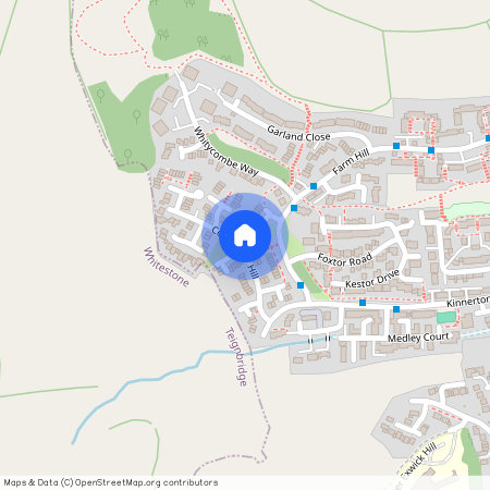 Cornflower Hill, Exeter